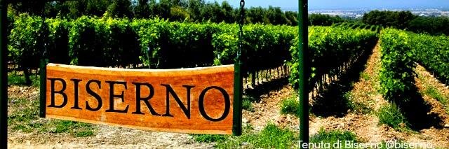 Tenuta di Biserno banner