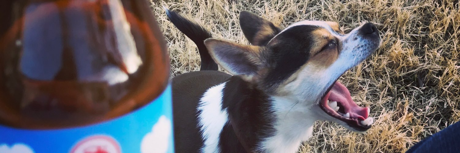 cheleybelly's profile banner image