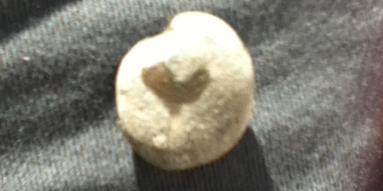 諏訪部知樹 banner