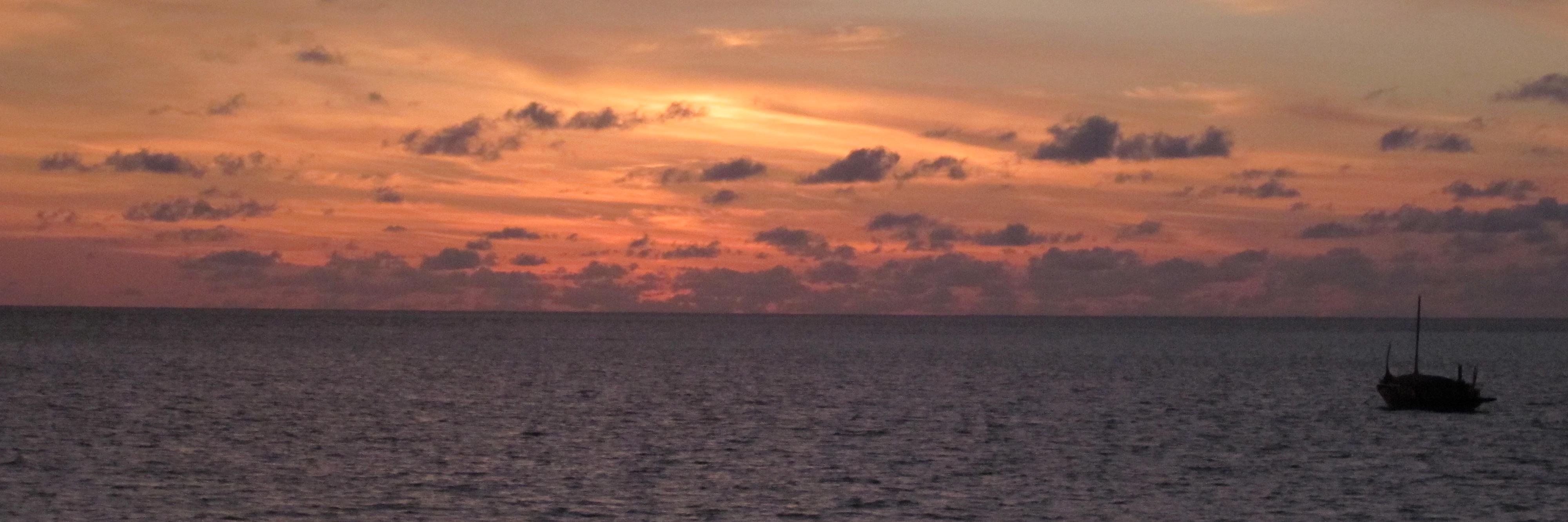 AnnaVGoodhew's profile banner image