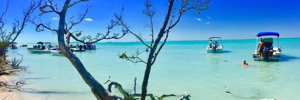 vhydrick's profile banner image