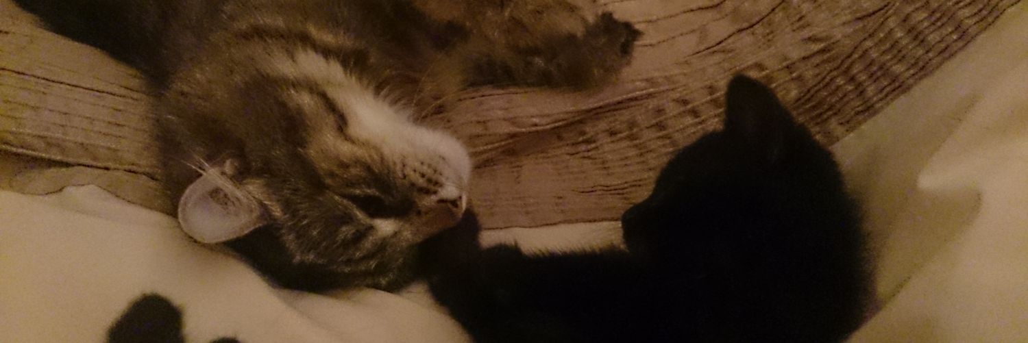 tilleyat9's profile banner image