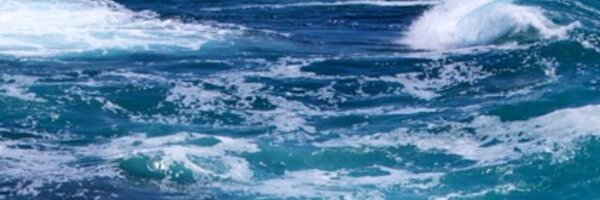 DualSPHysics Profile Banner