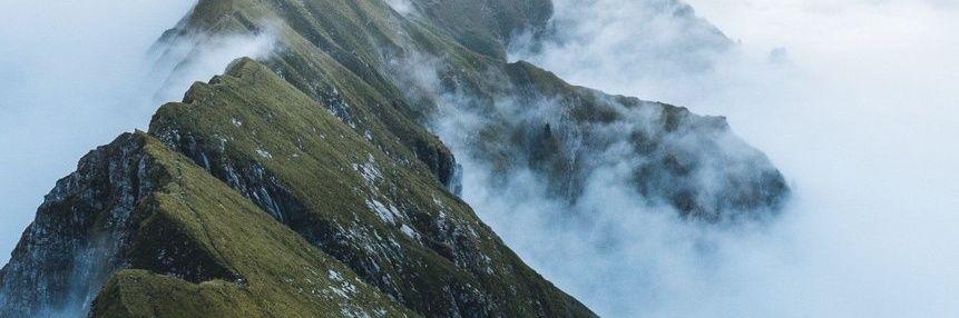 _MrBee's profile banner image