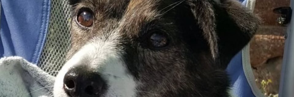 soozew73's profile banner image