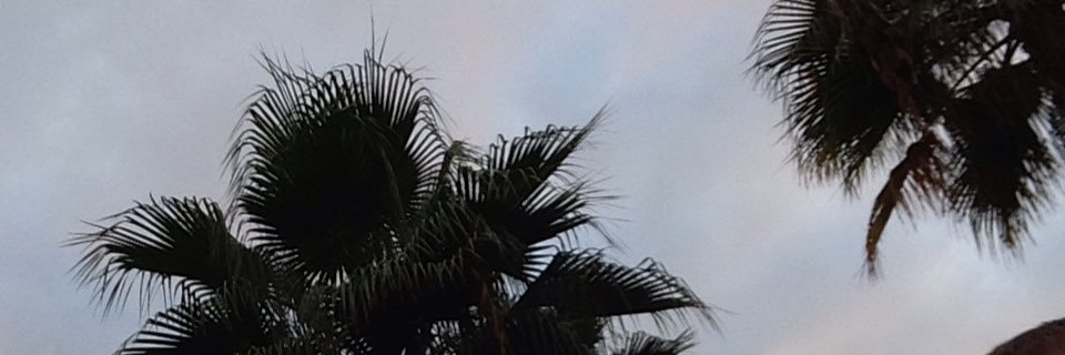 Philip Grieve banner