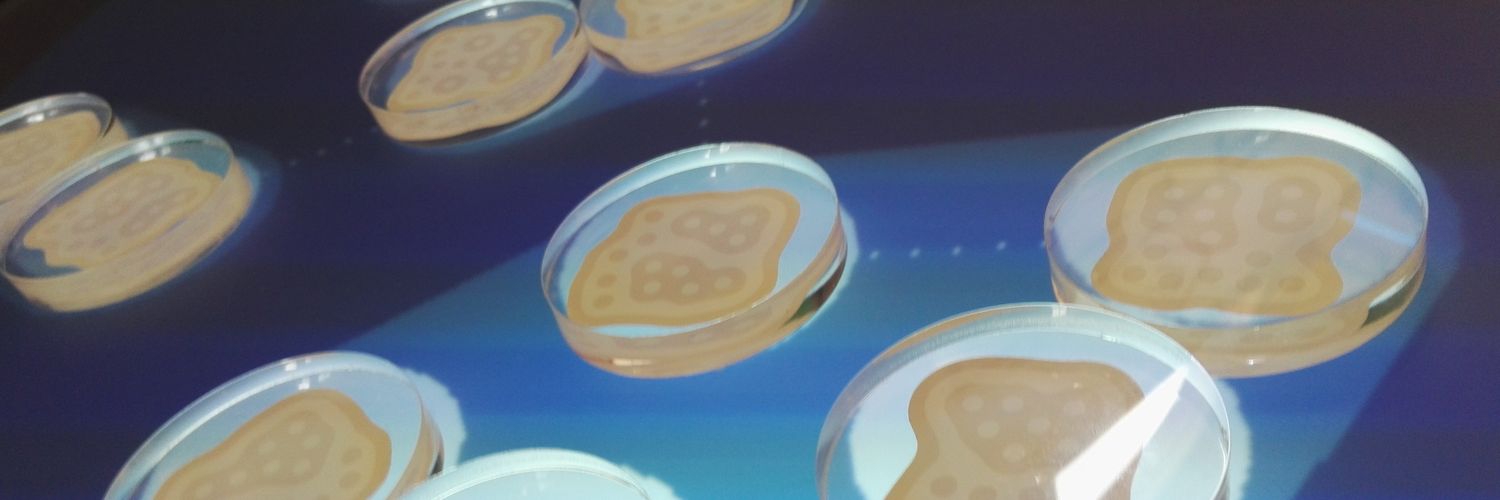 Rémi Boulle 🍓 banner