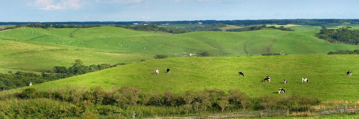 sanoooou's profile banner image