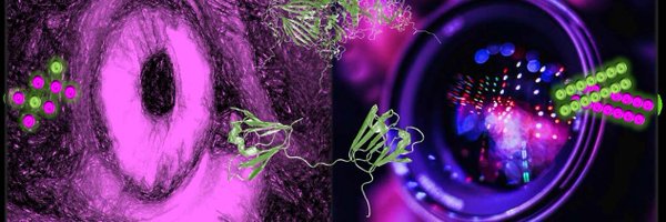 FEBSJournal Profile Banner