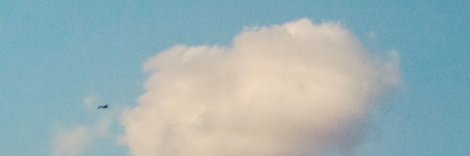 not_fridges's profile banner image