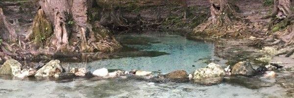 DebbieWineFL's profile banner image