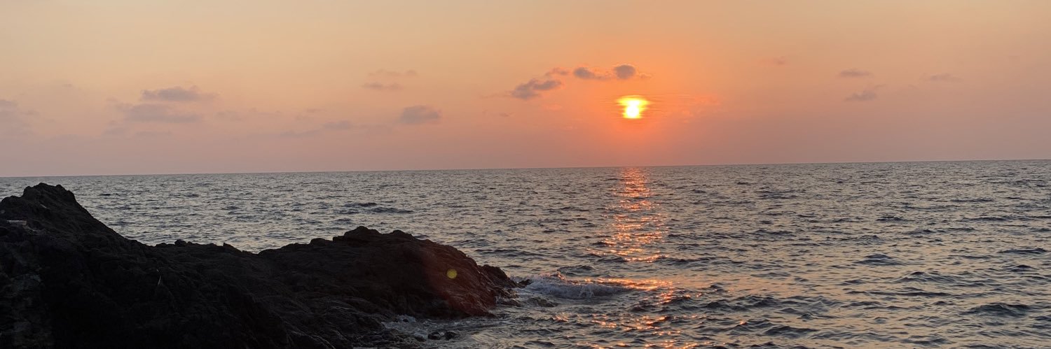 Steponaityte_'s profile banner image