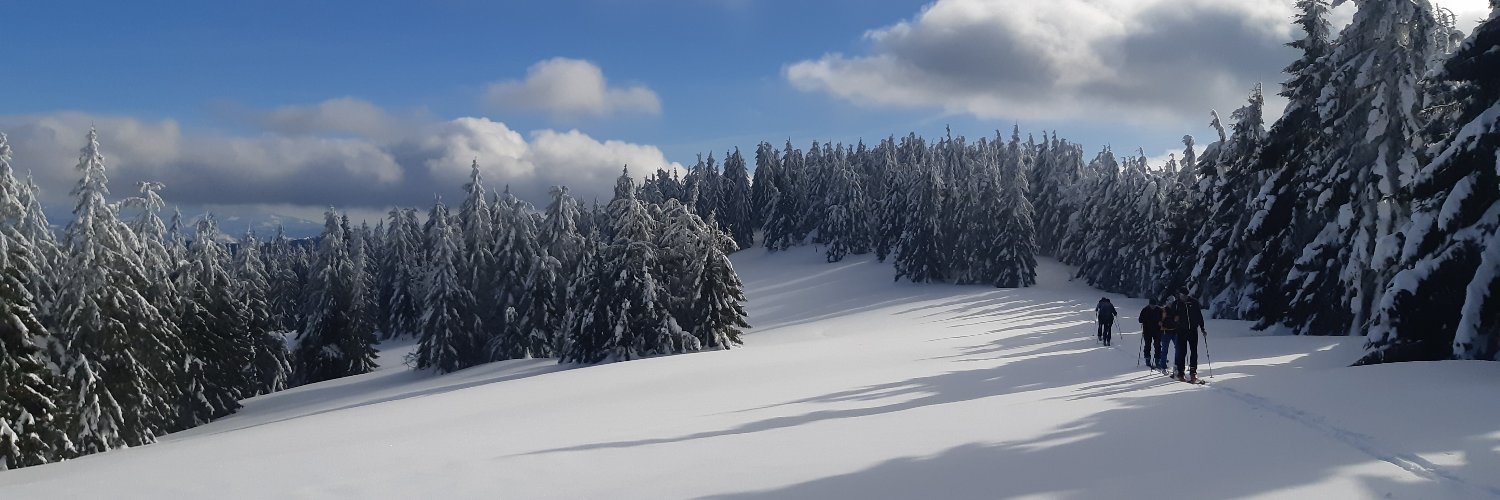 docski_el's profile banner image
