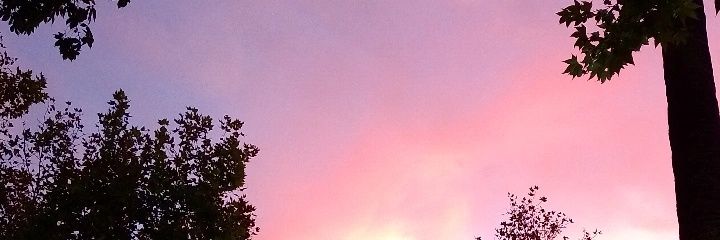 reales_07's profile banner image