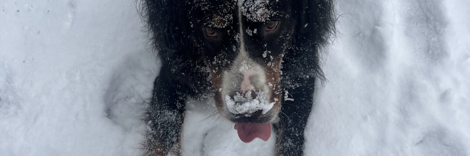 Duvalisou's profile banner image