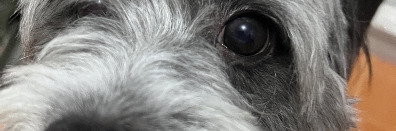 vrianpcc's profile banner image