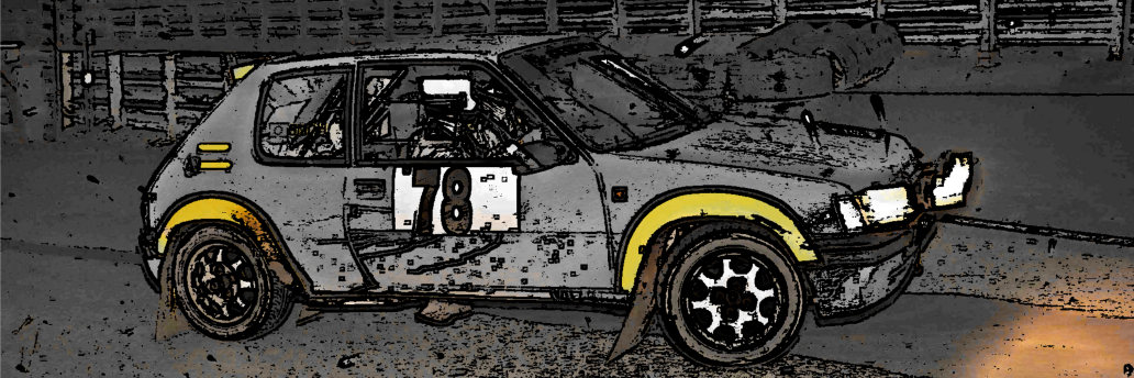 SleepylionRally's profile banner image