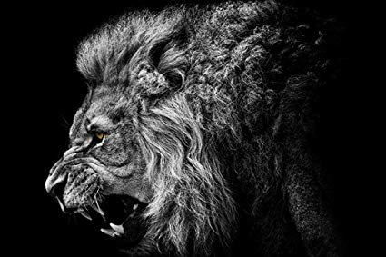 18Jaquille's profile banner image