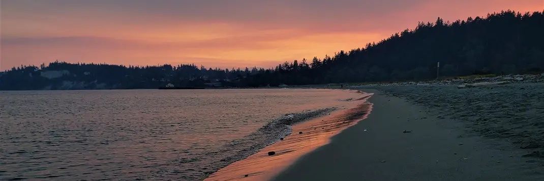 NerdyYTPerson's profile banner image