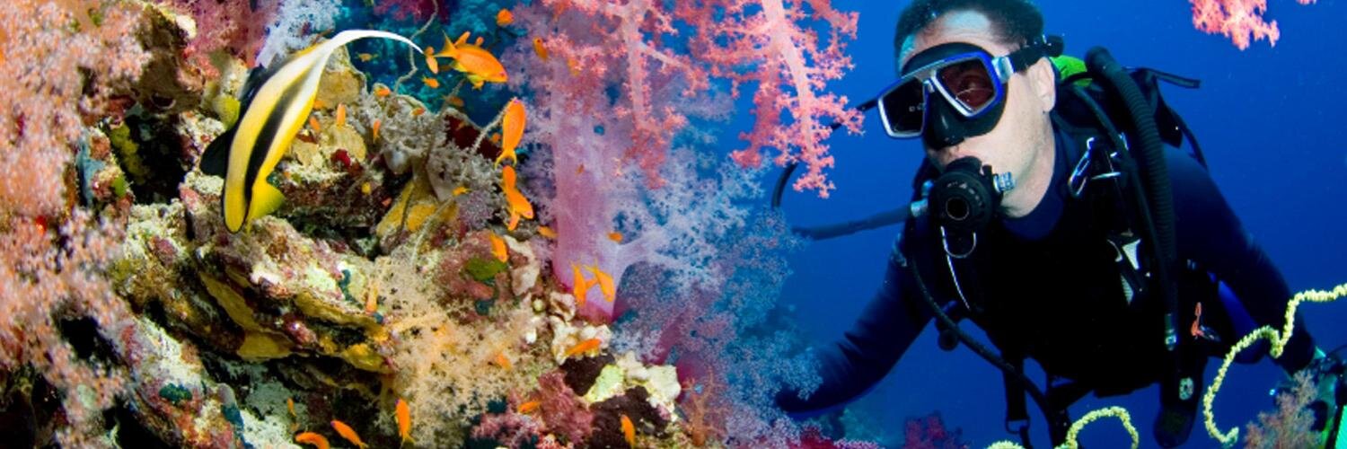 DeepBlueDive banner