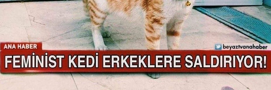 begm_ates's profile banner image