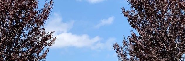 dr_derham's profile banner image