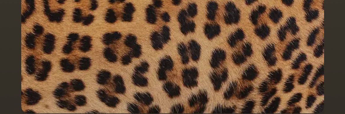olliversants_'s profile banner image