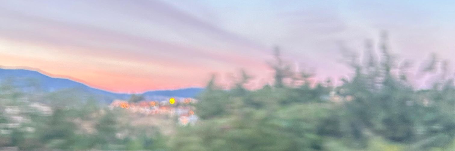 Celials_'s profile banner image