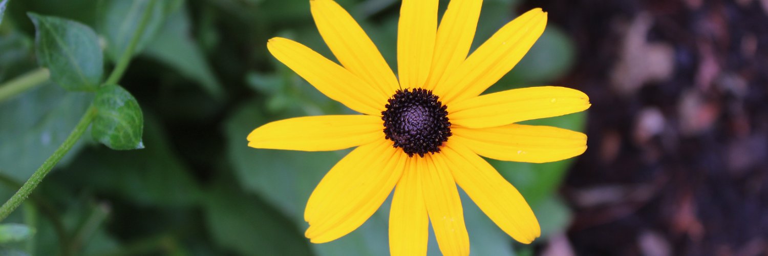 WheatonPL's profile banner image