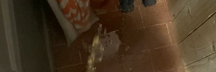 lovepiss banner