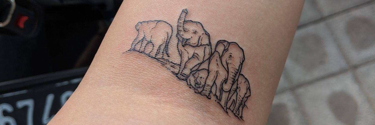 elegreenphant's profile banner image