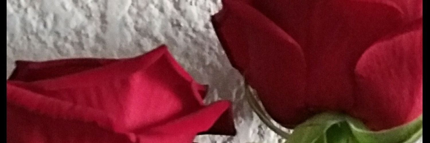 MimiBerche's profile banner image