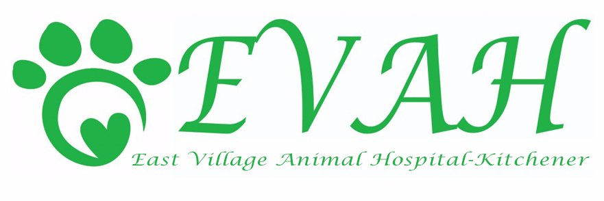 EVAHLondon's profile banner image