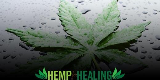 HempForHealing's profile banner image