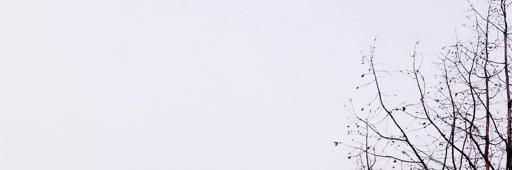 AMiI2y's profile banner image