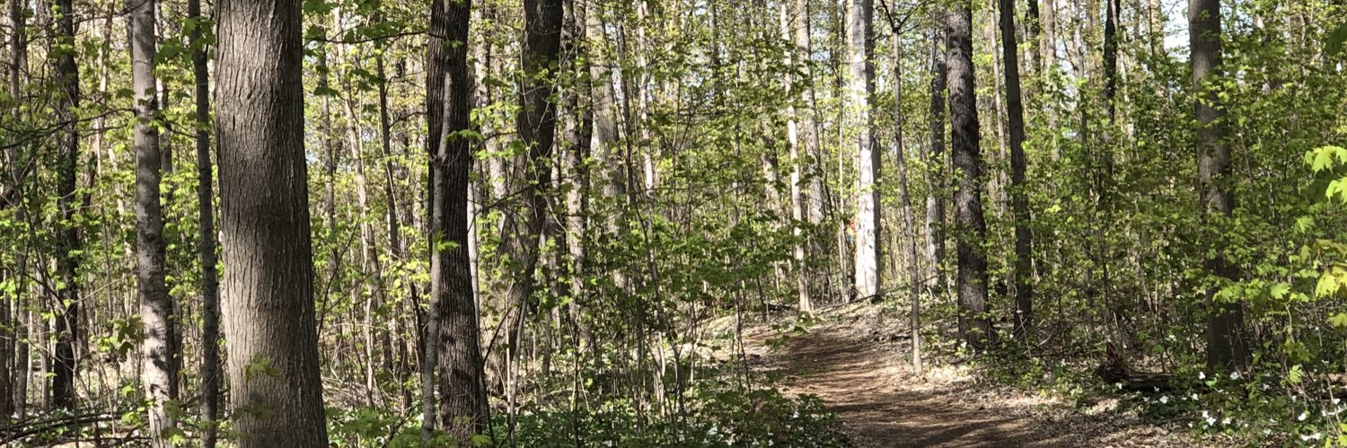 abbyrosinski's profile banner image