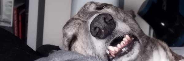 GVP44 Profile Banner