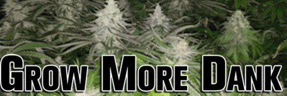 Dude Grows Show banner