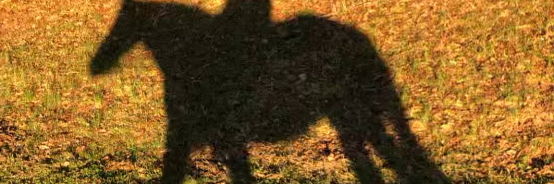 Jffknight's profile banner image