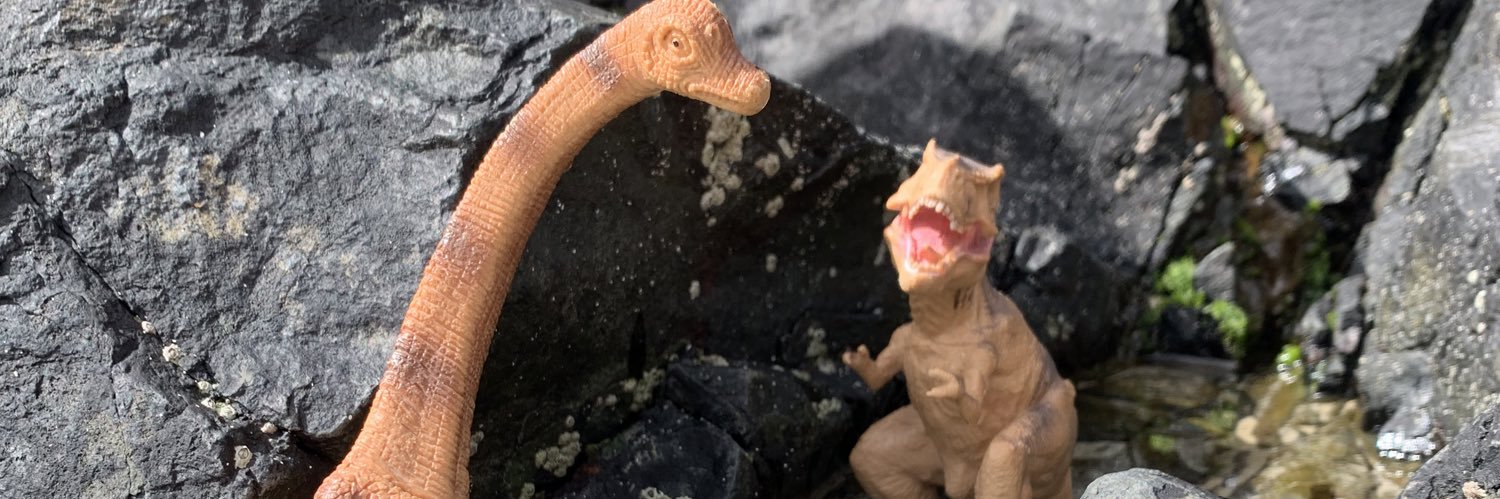 SteakyRhys's profile banner image