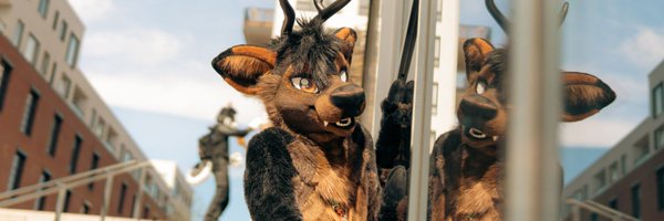 Quyntessential Profile Banner