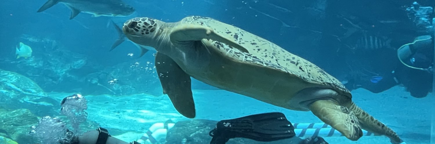 Bond…Ted Bond.. banner