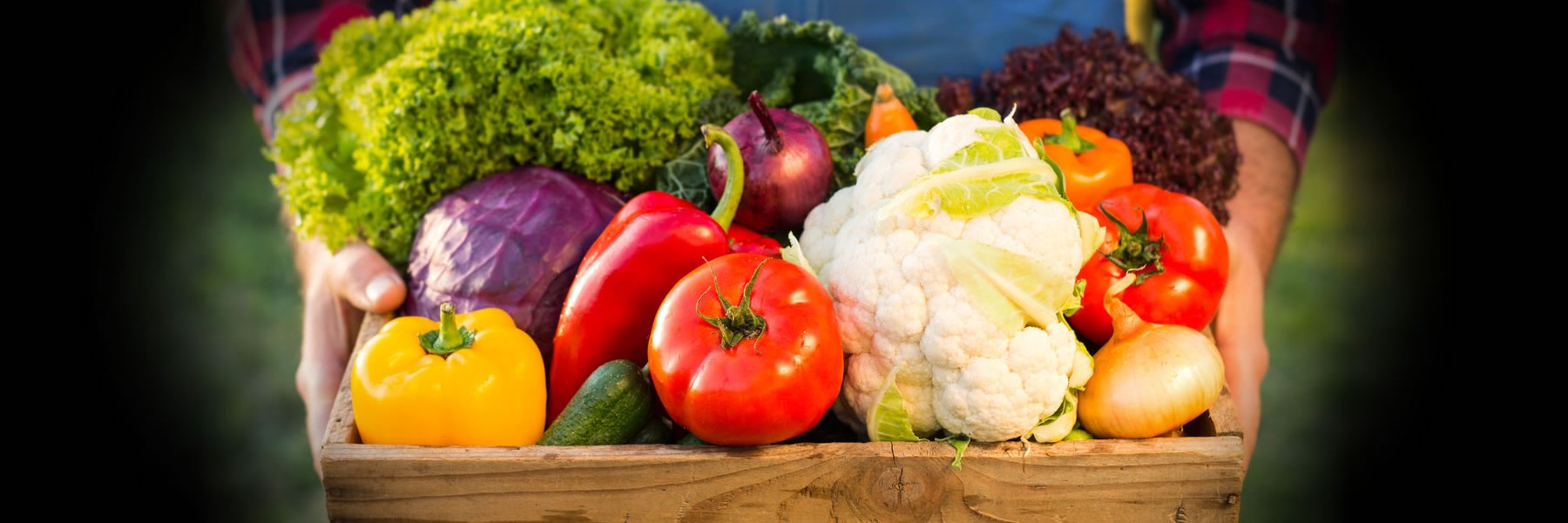 openarmsmission banner