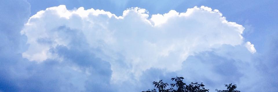 Do Better Vote Better Eagle County (CaveChick) banner