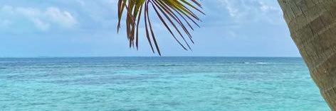 Eray Usta 👨🏼‍💻 banner