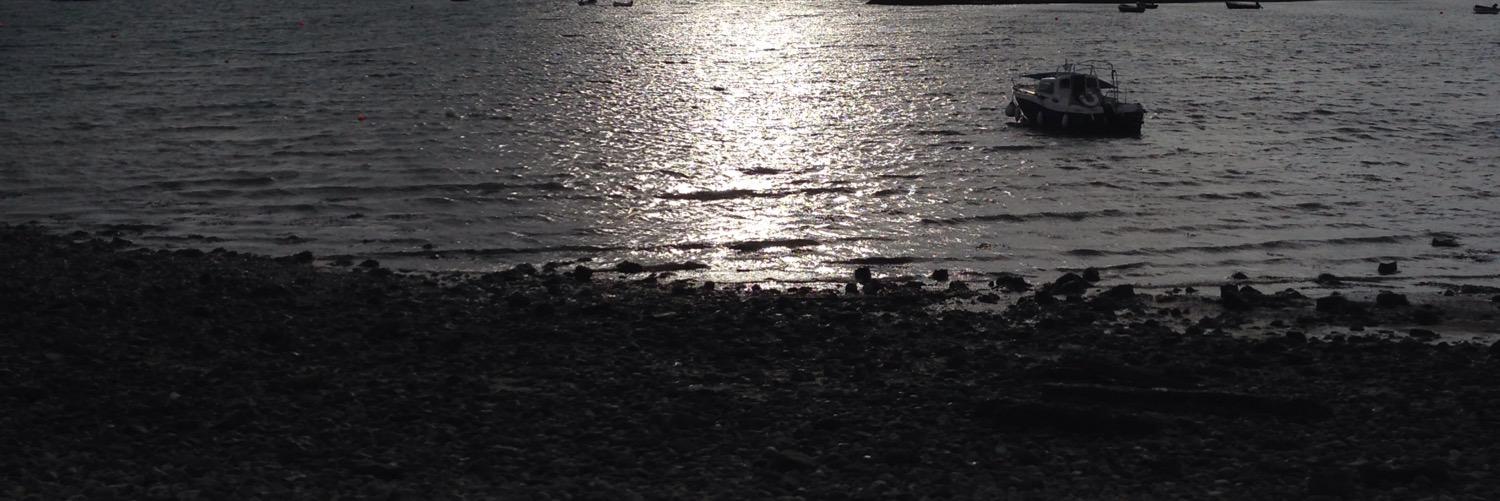 chris whitney banner