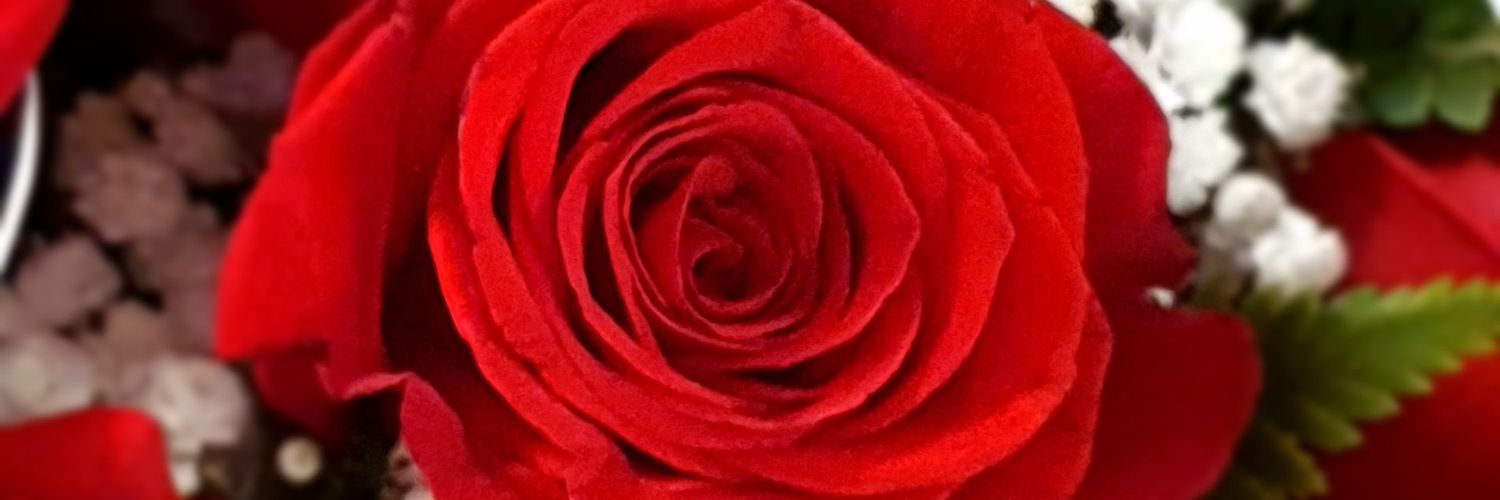 PatriciaCRC's profile banner image