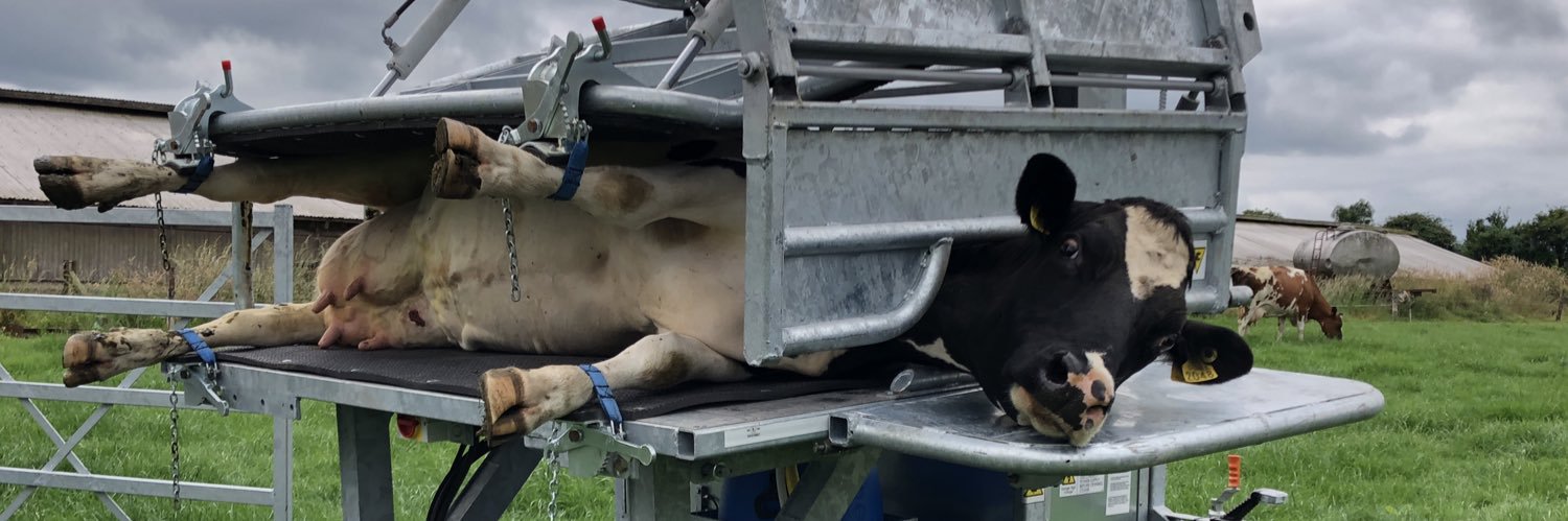 Maeve O Keeffe banner