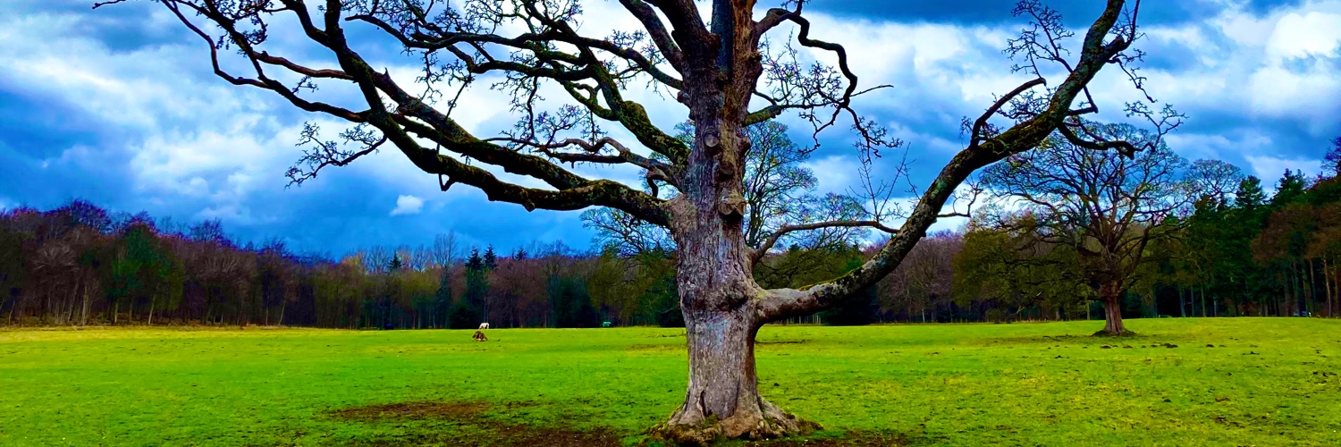 Andrew Phemister banner