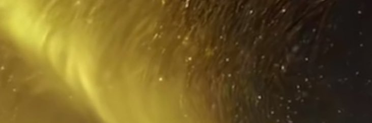 JL MW banner